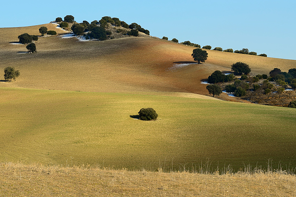 Andalusie, Spanje