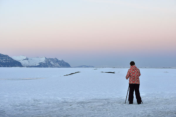 iris-vlakbij-fjallsarlon-600px